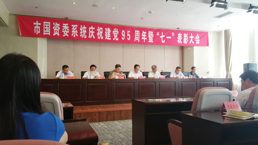 新華集團(tuán)優(yōu)秀黨組織和黨員受到表彰 第 1 張