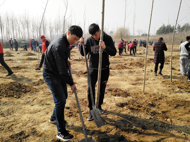 臨沂新華參加義務植樹活動 第 1 張 臨沂新華參加義務植樹活動 第 1 張