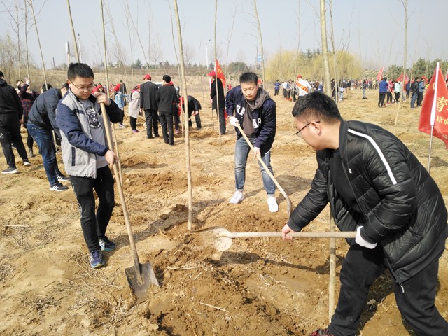 臨沂新華參加義務植樹活動 第 2 張 臨沂新華參加義務植樹活動 第 2 張