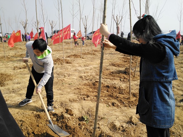 臨沂新華參加義務植樹活動 第 6 張 臨沂新華參加義務植樹活動 第 6 張